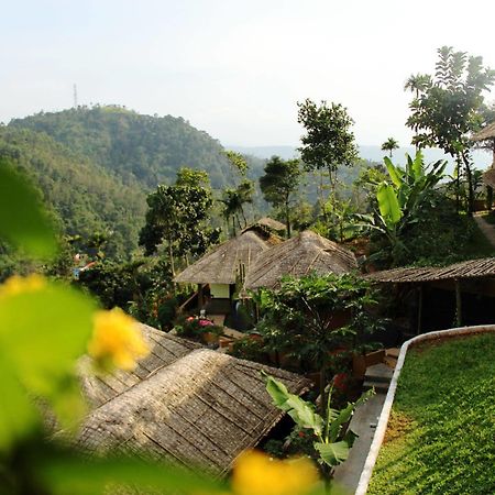 Eco Tones Hotel Munnar Kültér fotó